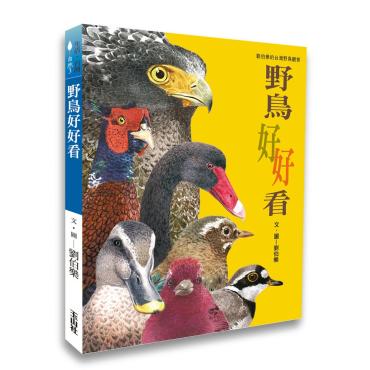 野鳥好好看