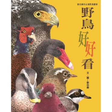 野鳥好好看